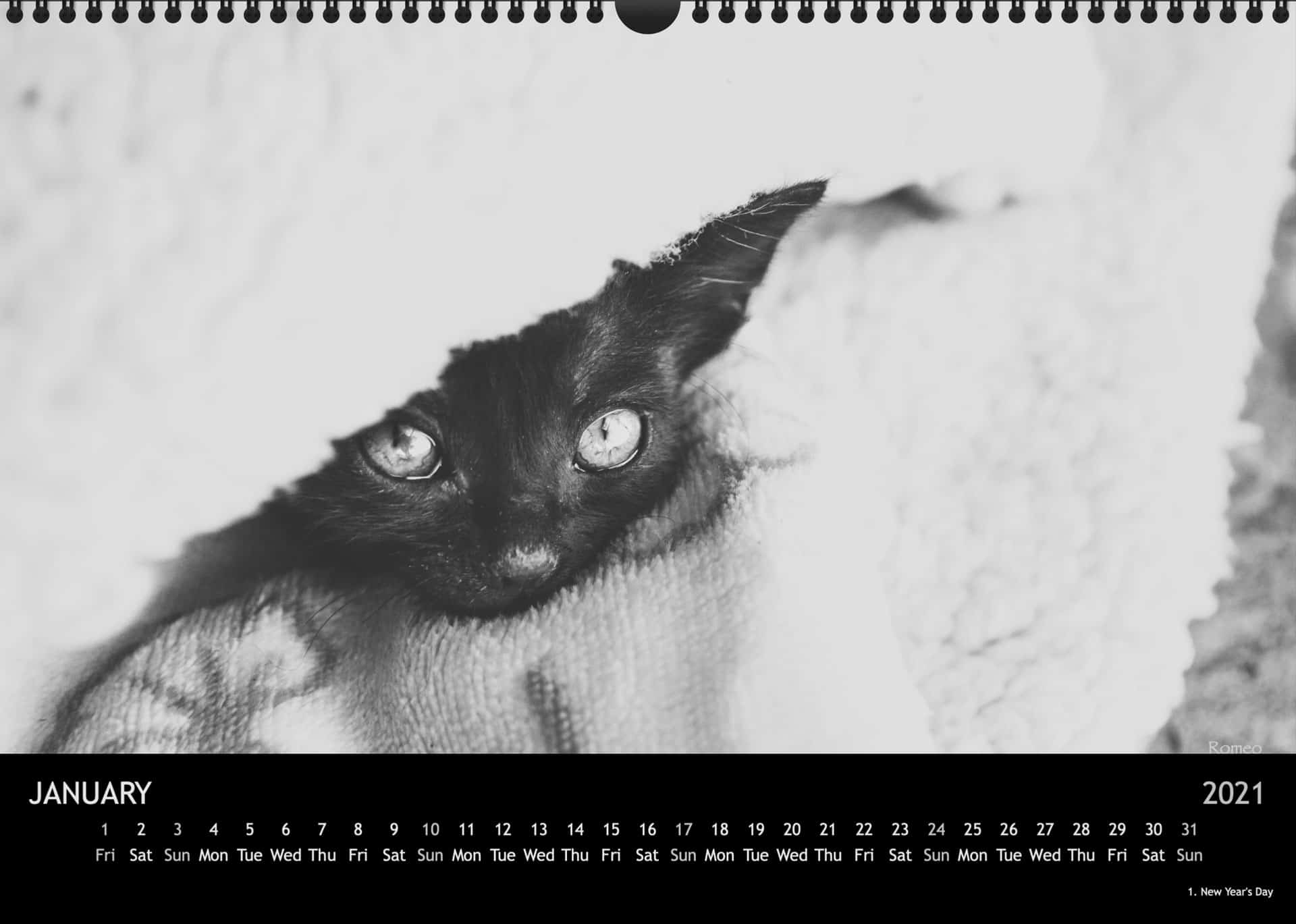 Calendar2021_01JanuarA3