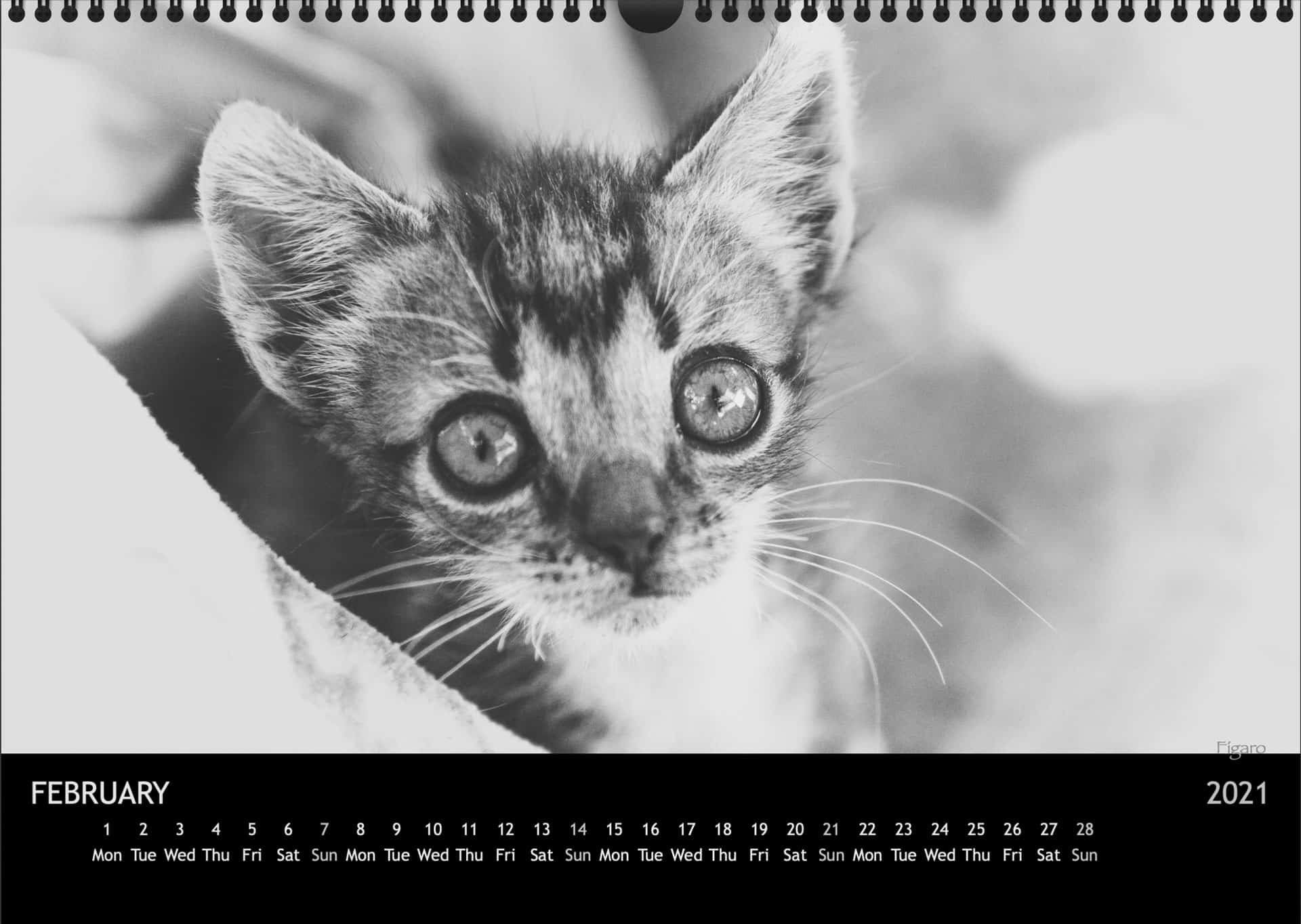 Calendar2021_02FebruarA3