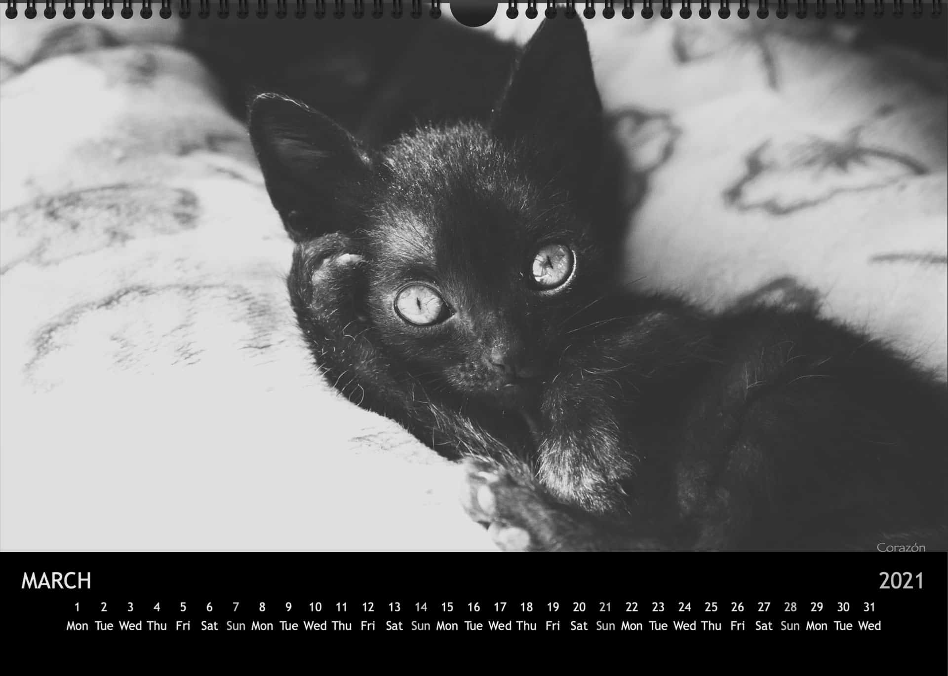 Calendar2021_03MaerzA3