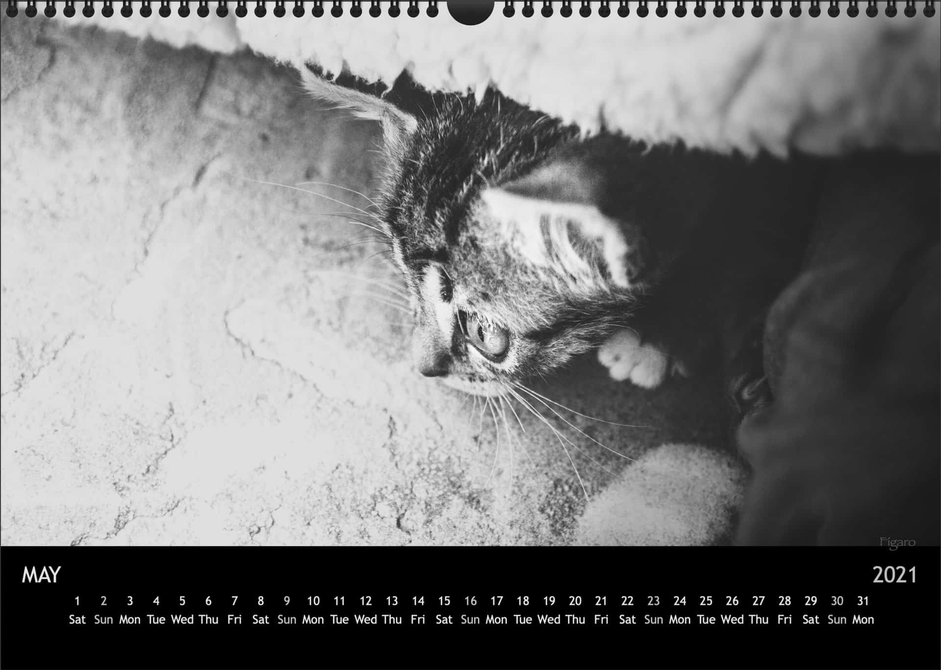 Calendar2021_05MaiA3