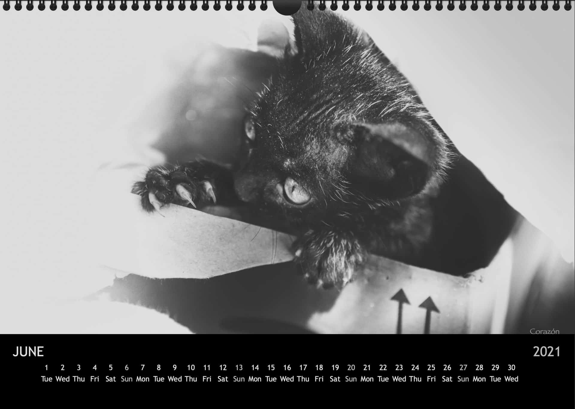 Calendar2021_06JuniA3