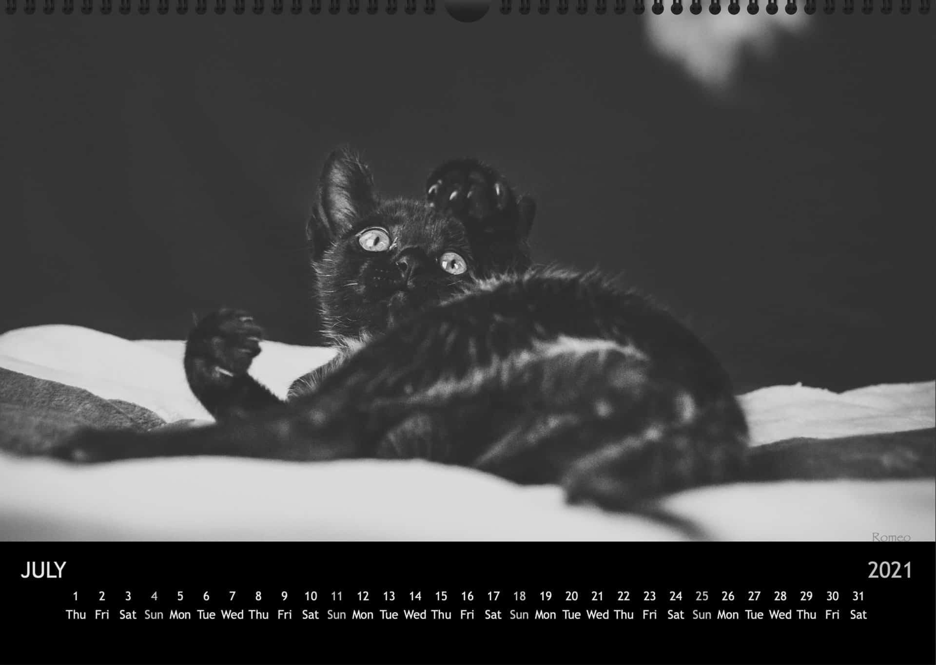 Calendar2021_07JuliA3