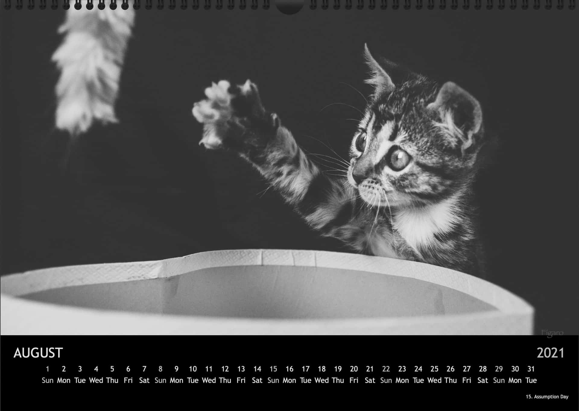 Calendar2021_08AugustA3