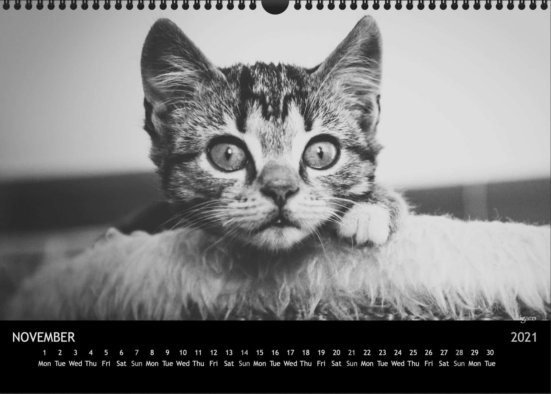 Calendar2021_11NovemberA3