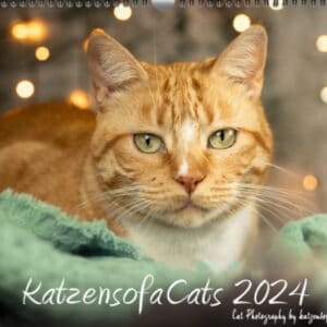 KatzensofaCats_2024_Coverbild