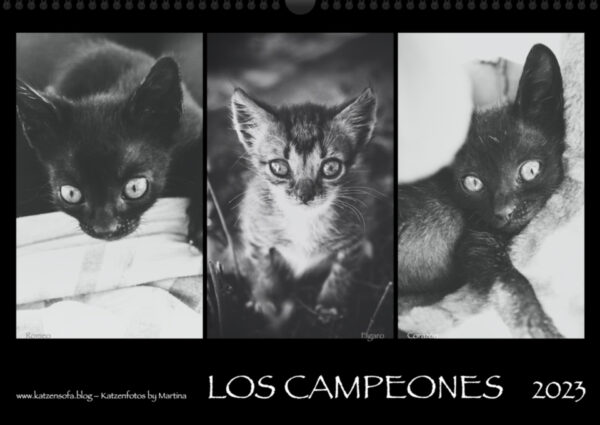 Katzen-Kalender 2023 «Los Campeones» A3