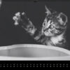 Katzen-Kalender 2023 «Los Campeones» panorama - Image 9