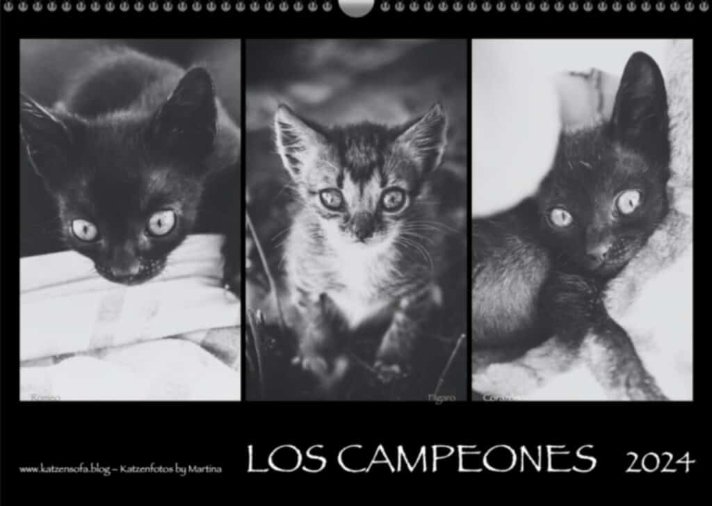 Coverbild «LosCampeones» 2024