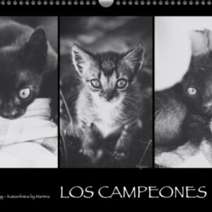 Coverbild «LosCampeones» 2024