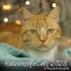Katzenkalender 2023 KatzensofaCats – Cover