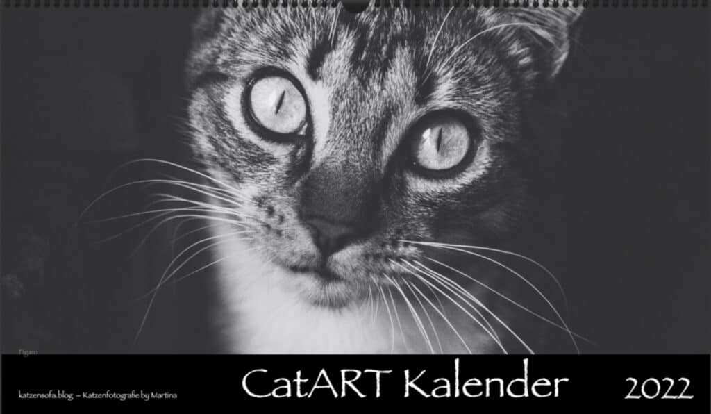 Kalender CatART panorama Cover