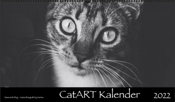 Kalender CatART panorama Cover