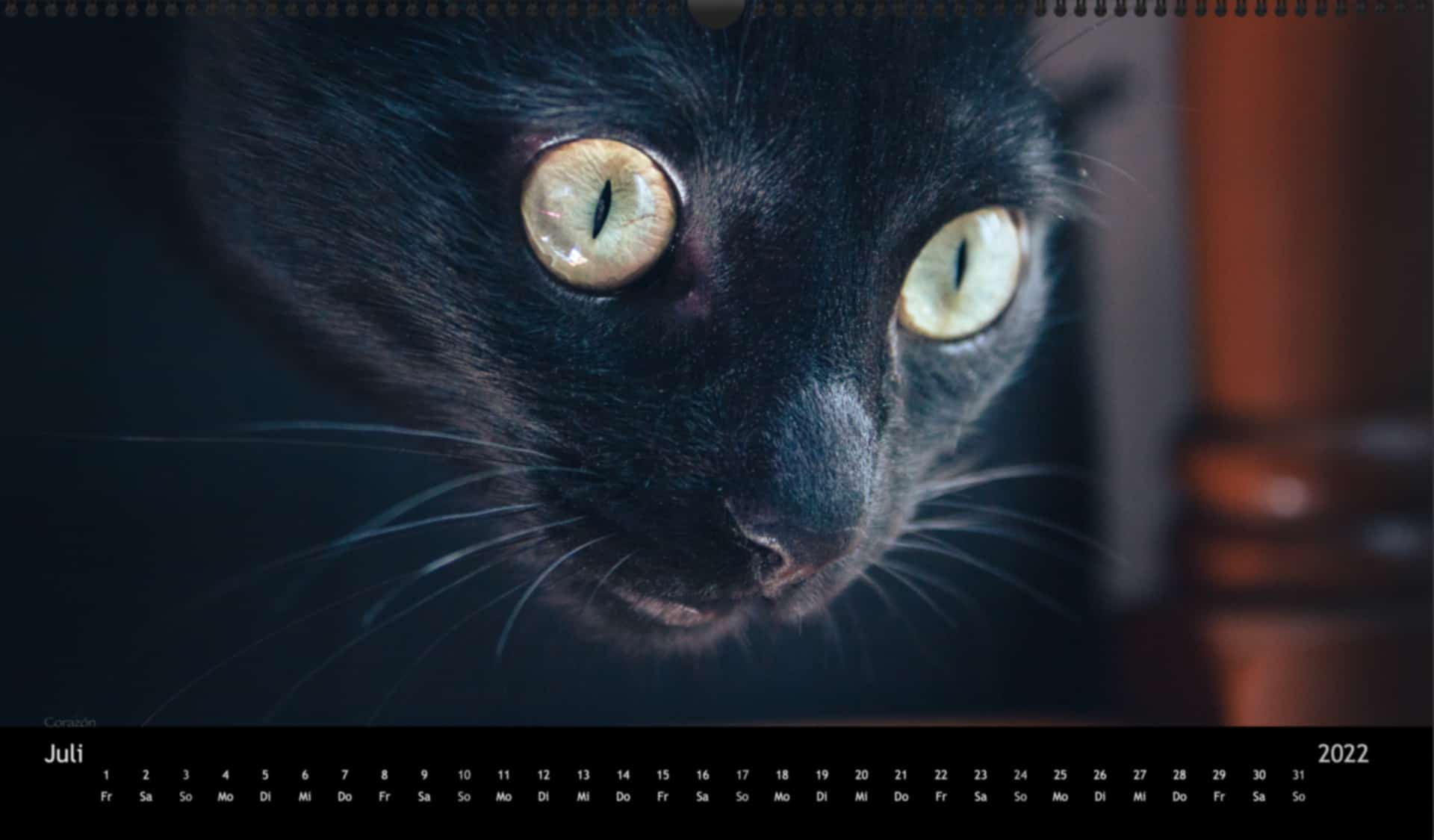 katzensofa-2022_pano_07-Juli